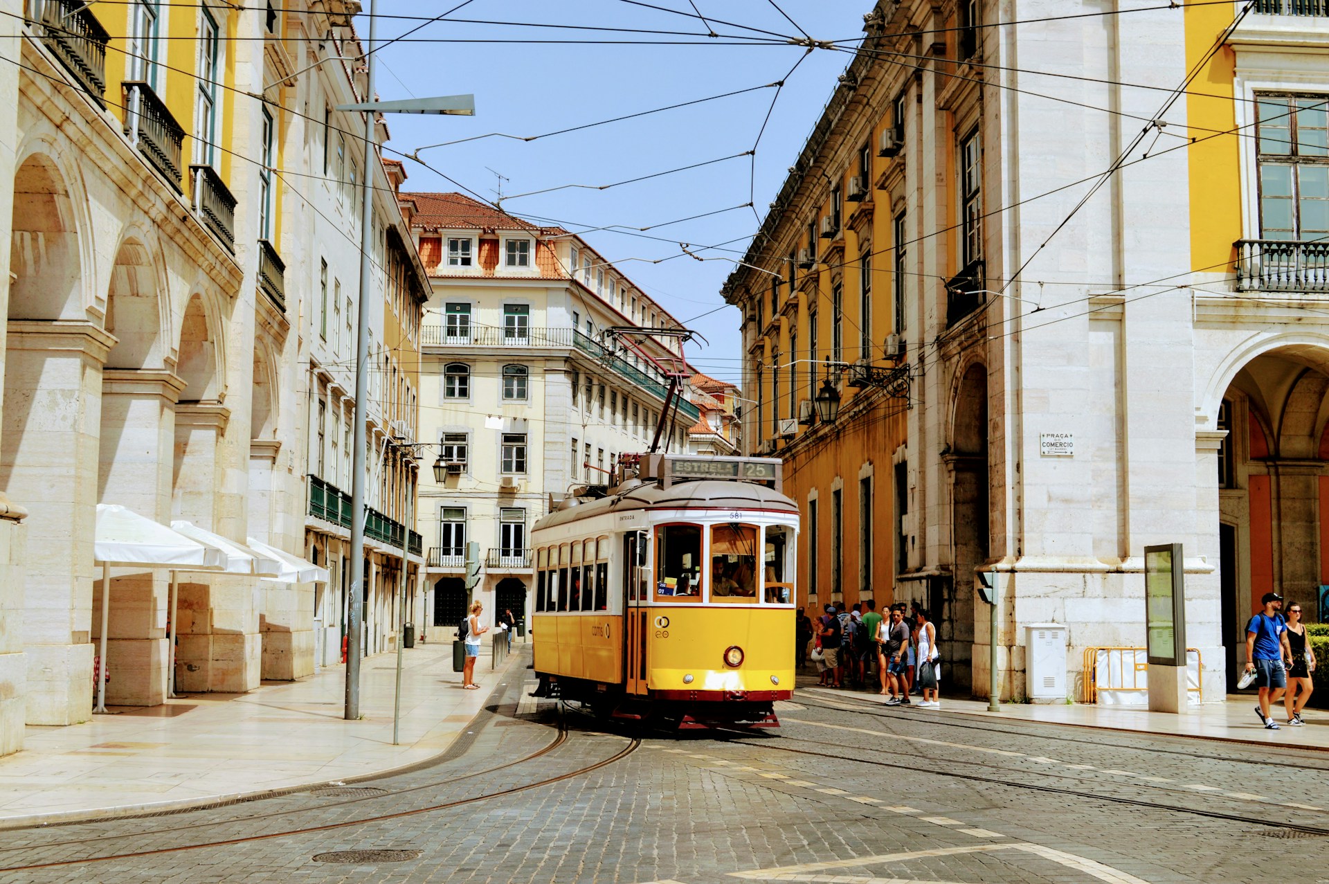 DIG-IN PRO: 5 Suggestions for Every Occasion – Lisbon